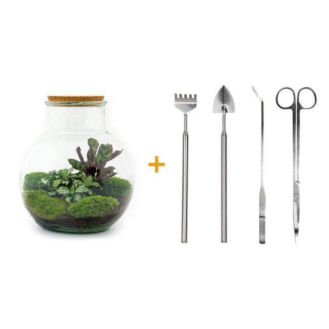 DIY terrarium - Teddy - ↕ 26,5 cm - Hark + Schep + Pincet + Schaar