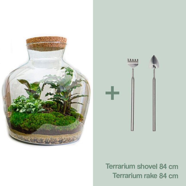 DIY terrarium - Fat Joe - ↕ 30 cm - Hark + Schep