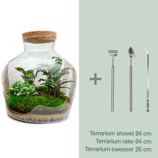 DIY terrarium - Fat Joe - ↕ 30 cm - Hark + Schep + Pincet