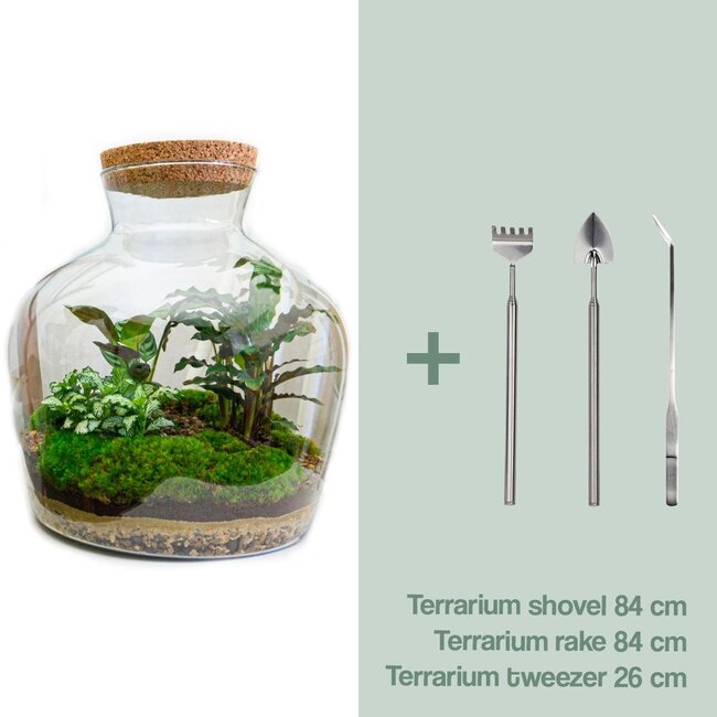 DIY terrarium - Fat Joe - ↕ 30 cm - Hark + Schep + Pincet