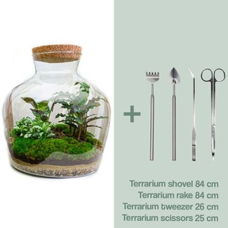 DIY terrarium - Fat Joe - ↕ 30 cm - Hark + Schep + Pincet + Schaar
