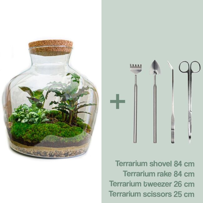 DIY terrarium - Fat Joe - ↕ 30 cm - Hark + Schep + Pincet + Schaar