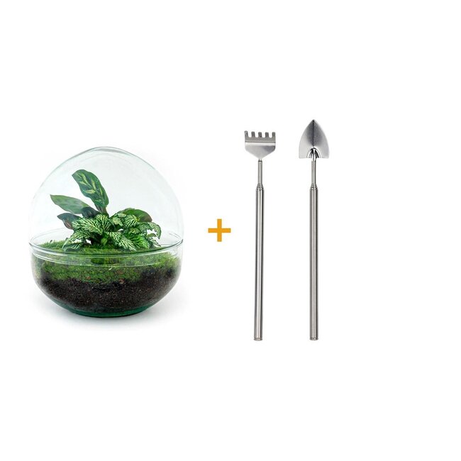 DIY terrarium - Koepel - ↕ 20 cm - Hark + Schep