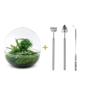 DIY terrarium - Koepel - ↕ 20 cm - Hark + Schep + Pincet