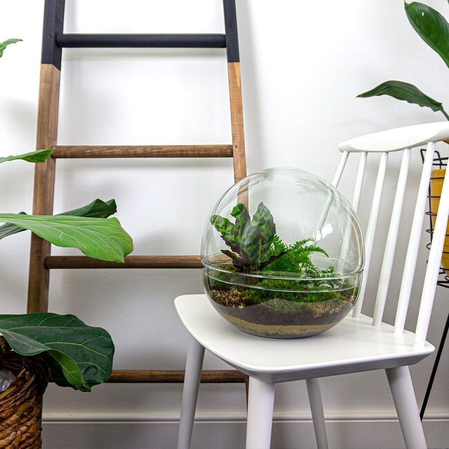 DIY terrarium - Koepel - ↕ 20 cm - Hark + Schep + Pincet