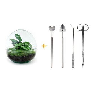 DIY terrarium - Koepel - ↕ 20 cm - Hark + Schep + Pincet + Schaar