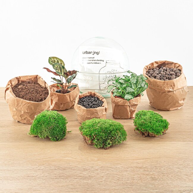 DIY terrarium - Dome - ↕ 20 cm - Rake + Shovel + Tweezer + Scissors