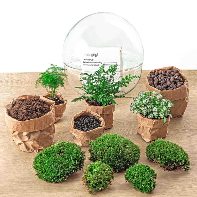 DIY terrarium - Koepel XL - ↕ 30 cm - Hark + Schep + Pincet + Schaar