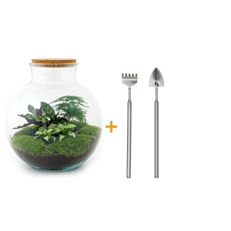 DIY terrarium - Bolder Bob - ↕ 30 cm - Hark + Schep