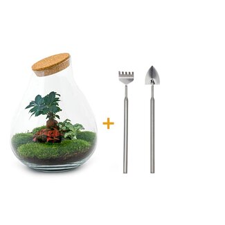 DIY terrarium - Drop XL Bonsai -↕ 37 cm - Hark + Schep
