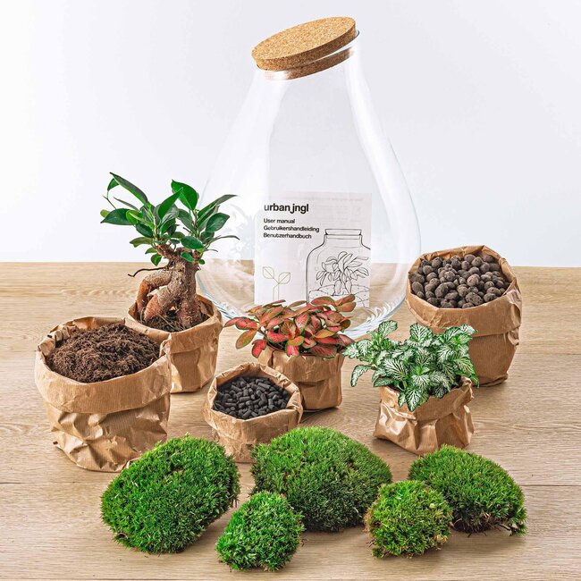 DIY terrarium - Drop XL Bonsai -↕ 37 cm - Hark + Schep