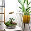 DIY terrarium - Drop XL Bonsai - ↕ 37 cm - Hark + Schep + Pincet + Schaar
