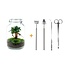 DIY terrarium - Jar - Ficus Ginseng bonsai - ↕ 28 cm - Rake + Shovel + Tweezer + Scissors