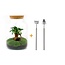 DIY terrarium - Milky met bonsai - ↕ 30 cm - Hark + Schep