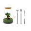 DIY terrarium - Milky met bonsai - ↕ 30 cm - Hark + Schep + Pincet