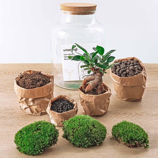 DIY terrarium - Milky met bonsai - ↕ 30 cm - Hark + Schep + Pincet