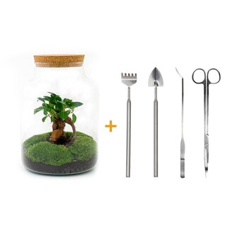 DIY terrarium - Milky met bonsai - ↕ 30 cm - Hark + Schep + Pincet + Schaar