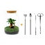 DIY terrarium - Milky met bonsai - ↕ 30 cm - Hark + Schep + Pincet + Schaar