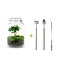 DIY terrarium - Pot - Coffea Arabica - ↕ 28 cm - Hark + Schop + Pincet ID-nummer 3704
