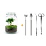 DIY terrarium - Pot - Coffea Arabica - ↕ 28 cm - Hark + Schep + Pincet + Schaa