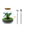 DIY terrarium - Billie Bonsai - ↕ 29 cm - Hark + Schep
