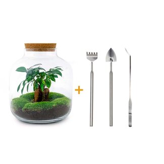 DIY terrarium - Billie Bonsai - ↕ 29 cm - Hark + Schep + Pincet