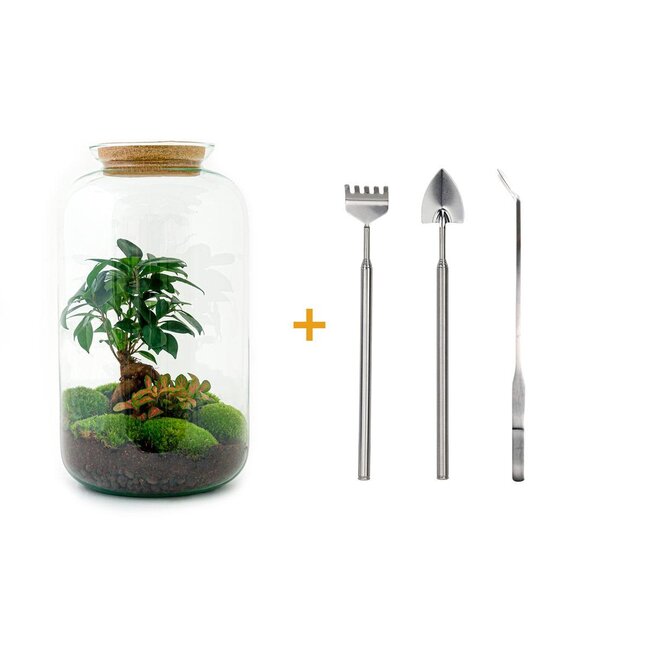 DIY terrarium - Sven Bonsai - ↕ 43 cm - Hark + Schop + Pincet