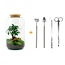DIY terrarium - Sven Bonsai - ↕ 43 cm - Hark + Schep + Pincet + Schaar