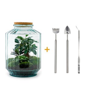 DIY terrarium - Botanische tuin XL - ↕ 35 cm - Hark + Schep + Pincet