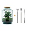 DIY terrarium - Botanische tuin XL - ↕ 35 cm - Hark + Schep + Pincet