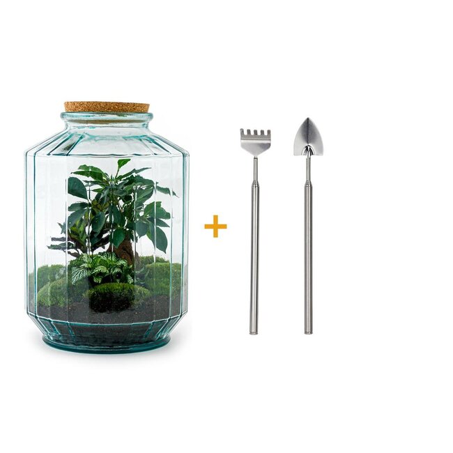 DIY terrarium - Botanische tuin XL - ↕ 35 cm - Hark + Schep