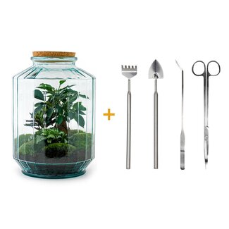 DIY terrarium - Botanische tuin XL - ↕ 35 cm - Hark + Schep + Pincet + Schaar