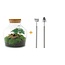 DIY terrarium - Little Joe - ↕ 21,5 cm - Hark + Schep