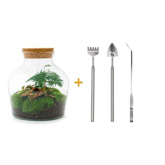DIY terrarium - Little Joe - ↕ 21,5 cm - Hark + Schep + Pincet