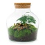 DIY terrarium - Little Joe - ↕ 21,5 cm - Hark + Schep + Pincet
