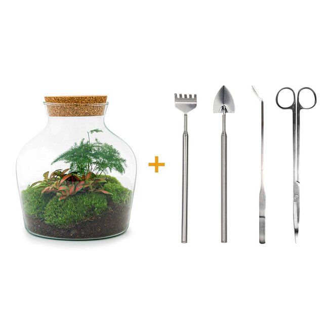 DIY terrarium - Little Joe - ↕ 21,5 cm - Hark + Schep + Pincet + Schaar