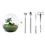 DIY terrarium - Dome XL - Ficus Ginseng Bonsai - ↕ 28 cm - Hark + Schep + Pincet + Schaar