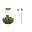 DIY terrarium - Sam XL Bonsai - ↕ 35 cm - Hark + Schep