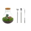DIY terrarium - Sam XL Bonsai - ↕ 35 cm - Hark + Schep + Pincet