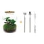 DIY terrarium - Lukas - ↕ 33 cm - Hark + Schep + Pincet