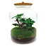 DIY terrarium - Lukas - ↕ 33 cm - Hark + Schep + Pincet