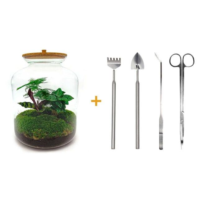 DIY terrarium - Lukas - ↕ 33 cm - Hark + Schep + Pincet + Schaar