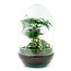 DIY terrarium - Ei XL - ↕ 30 cm