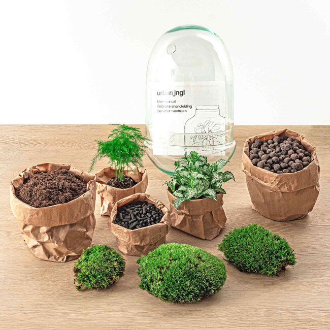 DIY terrarium - Ei XL - ↕ 30 cm