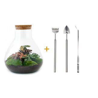 DIY terrarium - Sam XL Rood - ↕ 35 cm - Hark + Schep + Pincet