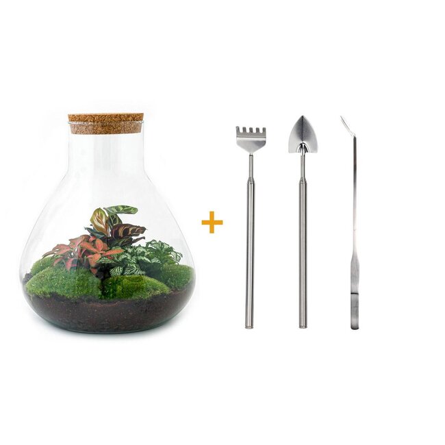 DIY terrarium - Sam XL Rood - ↕ 35 cm - Hark + Schep + Pincet