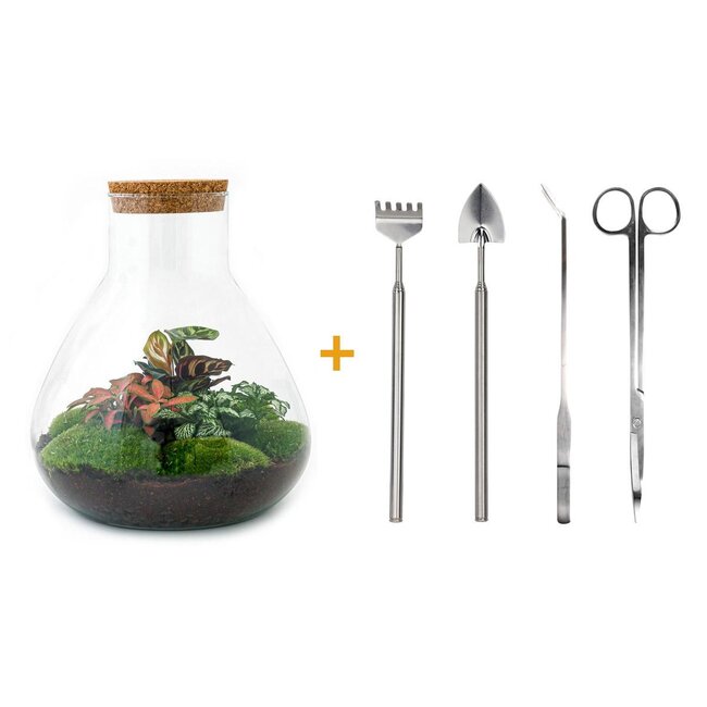 DIY terrarium - Sam XL Rood - ↕ 35 cm - Hark + Schep + Pincet + Schaar