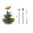DIY terrarium - Drop XL Rood - ↕ 37 cm - Hark + Schep + Pincet