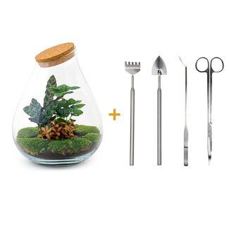 DIY terrarium - Drop XL Rood - ↕ 37 cm - Hark + Schep + Pincet + Schaar