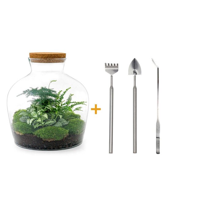 DIY terrarium - Fat Joe Groen - ↕ 30 cm - Hark + Schep + Pincet